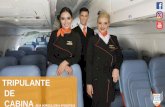 TRIPULANTE DE CABINA - Escuela de Instrucción …...DESCRIPCIÓN El tripulante de cabina es una de las personas más importantes en la operación de una aerolínea, es la persona