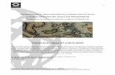 Tratado de Zaragoza (17 a 22-IV-1529) - Sevilla 2019-2022sevilla.2019-2022.org/wp-content/uploads/2016/03/... · Tratado de Zaragoza (17 a 22-IV-1529) Documentos inicial y definitivo
