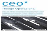 ceo* - Riesgo Operacional .com CEO_RiesgoOperacional02.pdf · caso especial hincapié en el estado de situación de las entidades argentinas en relación con la gestión del riesgo