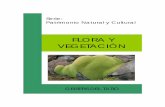 FLORA Y VEGETACIÓN - Centro de Estudios Agrarios y Ambientales Flora... · 2014-08-30 · La flora andina La flora de los Geisers del Tatio y sus alrededores está representada por