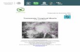 Tormenta Tropical Boris - LaNGIFlangif.uaslp.mx/documentos/AlertaClimatica/TT_Boris.pdfDe acuerdo con la CONAGUA (2014) durante el mes de junio se mantendrá una precipitación que