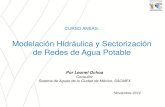 Modelación Hidráulica y Sectorización de Redes de …...CURSO ANEAS: Modelación Hidráulica y Sectorización de Redes de Agua Potable Por Leonel Ochoa Consultor Sistema de Aguas