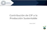 Contribución de CIP a la Producción Sustentable · conocimiento habilidades y actitudes del talento humano •Mejorar el desempeño laboral •Mejoramiento continuo de la empresa