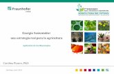 Energía Sustentable: una estrategia real para la agricultura · 2019-06-10 · Tecnología de Carbonización Hidrotermal (HTC) Agroindustria Guano y purines Acuicultura Ind alimentaria