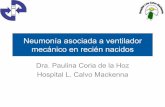 Neumonía asociada a ventilador mecánico en recién nacidos · Paulina Coria de la Hoz Hospital L. Calvo Mackenna Neumonía asociada a ventilador mecánico en recién nacidos •
