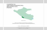 CARPETA GEOREFERENCIAL REGIÓN ICA PERÚ€¦ · 5.3 Denuncias por robo de vehículos, 2008 - 2017 (casos registrados). ... El departamento de Ica se encuentra ubicado en la costa