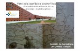 Patología esofágica eosinof ílica - Alergomurcia MURCIA1 [Modo de compatibilidad].pdf• Restrictivas • Difícil cumplimiento • Alto número de EDA Dieta sin leche Kagalwalla,