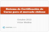 Sistema de Certificación de Carne para el mercado chileno carne Chile2.pdfDefinición de ganado bovino. Ternera: bovino hembra, en los cuales existen incisivos de leche en diferentes