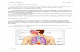 4. El Sistema Respiratorio - WordPress.com...Sin ventilación pulmonar no puede haber respiración celular. Esta se produce al inspirar o introducir aire en los pulmones y al espirar