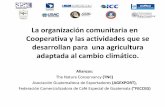 La organización comunitaria en Cooperativa y las …...2016/07/04  · La organización comunitaria en Cooperativa y las actividades que se desarrollan para una agricultura adaptada