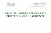 PROCURADURÍA FEDERAL DE PROTECCIÓN AL AMBIENTE · controlar el creciente deterioro ambiental en México, esto originó que el Ejecutivo Federal implementara sus políticas públicas