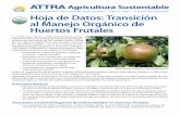 Un programa del Centro Nacional de Tecnología Apropiada 1 ... · y Producción orgánica en escala comercial de frutas con cuesco o hueso, con excepción de guindas o cerezas ...