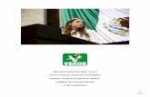 Diputada Sofía González Torres Tercer Informe Anual de ...gaceta.diputados.gob.mx/PDF/InfoDip/63/409-20180629-III.pdfProcedimientos Penales en materia de delitos informáticos, evidencias