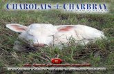 CHAROLAIS CHARBRAYcharolais.org.mx/wp-content/uploads/2020/02/Revista-Enero.pdf · DICIEMBRE ÓRGANO INFORMATIVO DE LA ASOCIACIÓN CHAROLAIS CHARBRAY HERD BOOK DE MÉXICO Ave. Benito