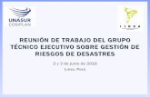REUNIÓN DE TRABAJO DEL GRUPO TÉCNICO EJECUTIVO …...REUNIÓN DE TRABAJO DEL GRUPO TÉCNICO EJECUTIVO SOBRE GESTIÓN DE RIESGOS DE DESASTRES 2 y 3 de junio de 2016 Lima, Perú ...