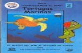 EL MUNOO DEL MAR AL ALCANCE DE TOOOSrepositorio.geotech.cu/jspui/bitstream/1234/843/4/tortugas marinas … · Ailo IntU'nO.cional de los Océanos . El Grupo de Edueación Ambiental
