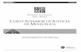 Viernes, 5 de agosto del 2016 SUPLEMENTO JUDICIAL … · Zegarra Zeballos – Abogado – Matricula 956 – CAT; Abog. Karina Pantos Linares – Secretaria Judicial – Primer Juzgado