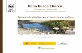 ANEXO 2013 Concurso de microproyectos de …awsassets.wwf.es/downloads/ideas_de_inciativas_por_los...pequeños puntos de agua de interés para los anfibios en sus municipios. Por otro