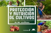 INFORME 2019 PROTECCIÓN Y NUTRICIÓN DE CULTIVOSproyectos.andi.com.co/es/PC/ProProANDI/Documents...dolencias, necesitan protección y defensa de las plagas, enfermedades y malezas