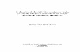Evaluación de dos híbridos semicomerciales de tomate saladette producidos en …bdigital.zamorano.edu/bitstream/11036/6715/1/CPA-2019-T... · 2020-01-15 · iii Evaluación de dos