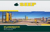 servicio flowback multipad s900seep.com.ar/assets/documents/servicio_flowback_multipad... · 2019-04-10 · 98% de eficiencia de separación de arena con partículas de 5 a 50 micrones,