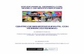 CCEENNTTRROO DEE BIIEENNEESSTTAARR ... - Gobierno | gob.mxinaes.gob.mx/doctos/pdf/Mod_Centro_Bienestar_Infantil_24012012.pdf · mujeres la tarea del cuidado y crianza de los menores,
