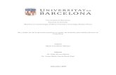 Autoradiposit.ub.edu/dspace/bitstream/2445/143985/1/Versión... · 2019-11-06 · Universidad de Barcelona Facultad de Derecho Maestría en Criminología, Política Criminal y Sociología