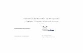 Informe Ambiental de Proyecto - · PDF file 2018-06-22 · Dr. Jorge Zavatti Ing. Josefina Aristarain Consultores Ambientales Página 5 de 68 Consorcio APPM -ALUAR / Proyecto Planta