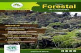 Revista Forestal de Guatemala · 2018-09-26 · OPINIÓN Revista For de Guatemala 4 -INAB- E l Pino Candelillo (Pinus maximinoi H.E. Moore) es una especie prometedora para el sector