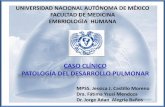 CASO CLÍNICO PATOLOGÍA DEL DESARROLLO PULMONARembriologia.facmed.unam.mx/wp-content/uploads/2020/02/... · 2020-02-20 · PATOLOGÍA DEL DESARROLLO PULMONAR MPSS. Jessica J. Castillo