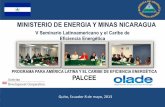 MINISTERIO DE ENERGIA Y MINAS NICARAGUA · 2013-05-15 · Ministro de Energía y Minas entrega la primer LFC Formación a Jóvenes para sustituir LFC . 3. ... Implementación del