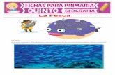 La Pesca - Actividades Educativas · Pesca Continental Se realiza en el mar peruano y existen dos tipos 200 millas 5 millas Z Se realiza en grandes embarcaciones Z Desembarcan en