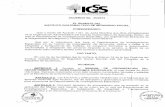IGS...El Manual de Organización que a continuación se presenta contiene la estructura orgánica, funcional y administrativa del Departamento de Investigaciones Especiales, apímismo