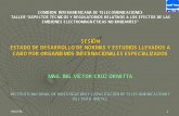 SESIÓN ESTADO DE DESARROLLO DE NORMAS Y ESTUDIOS …EDctor_Cruz_e.pdf · 2007-04-10 · inictel 1 comision interamericana de telecomunicaciones taller “aspectos tÉcnicos y regulatorios