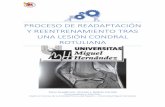PROCESO DE READAPTACIÓN Y REENTRENAMIENTO TRAS UNA …dspace.umh.es/bitstream/11000/4286/1/TFG Lorenzo... · 2017-11-10 · articulación (Vilchez et al., 2009). Una rodilla con