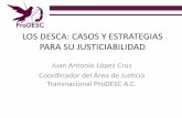 LOS DESCA: CASOS Y ESTRATEGIAS PARA SU JUSTICIABILIDAD · 2018-09-28 · Estrategia de Defensa • Juicio agrario de nulidad de contratos: El once de junio de dos mil trece, comuneros