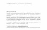 IX. FISIOLOGÍA POSCOSECHAexa.unne.edu.ar/.../Fisiologiapostcosecha2.pdfLaboratorio de fisiología y bioquímica vegetal. Departamento de biología. Universidad Nacional de Colombia
