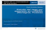 Estudio del riego por aspersión en LASESA (Monegros ...zaguan.unizar.es/record/11752/files/TESIS-2013-085.pdf · En las de suelos desarrollados sobre Terciario y los rellenos de