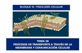 PROCESOS DE TRANSPORTE A TRAVÉS DE LA ......Comparación de las concentraciones de iones dentro y fuera de una célula de mamífero típica Procesos de transporte a través de la