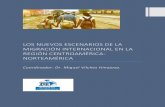 LOS NUEVOS ESCENARIOS DE LA MIGRACIÓN INTERNACIONAL EN LA … · 2018-08-24 · La segunda parte del documento propone una reconstrucción del contexto migratorio, partiendo de las