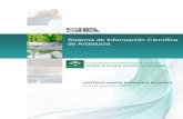 Sistema de Información Científica de Andalucía · 2016-11-11 · nombre: curso de doctorado: investigaciÓn y desarrollo de medicamentos código: alr/b7-3011/94.04-7 ... fecha