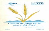 INSTITUTO NACIONAL DE INVESTIGACION AGRARIArepositorio.inia.gob.pe/bitstream/inia/983/1/Jara...Cultivo de trigo en la ... 11.9 CONTROL 57 11.10 ENANISMO AMARILLO DE LA CEBADA (VEAC
