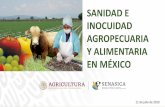 SANIDADE INOCUIDAD AGROPECUARIA YALIMENTARIA EN …congresocaaarem.mx/wp-content/.../07-Sanidad-e-inocuidad-agropec… · Ley de Bioseguridad de OGM (DOF 18-mar-2005) ReglamentoLBOGM