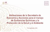 Atribuciones de la Secretaría de Economía y Acciones para ...csg.gob.mx/descargas/pdf/mundo-quimico/Maria_Asuncion_Castillo_… · Impacto ambiental de la Industria Química en