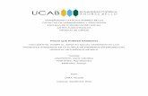 UNIVERSIDAD CATÓLICA ANDRÉS BELLO …biblioteca2.ucab.edu.ve/anexos/biblioteca/marc/texto/AAT...documental permite inferir un argumento acerca del mundo, debido a que otorga referencias
