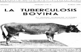 MARZO 1949 LA TUBERCULOSIS BOVINA · 2006-10-25 · LA TUBERCULOSIS BOViNA Ante el problema de la tuberculosis bovina nos hallamos en una situación que tiene notable parecido con