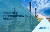 INDUSTRIA PETROQUÍMICA EN MÉXICO...Importancia de la Industria Química -Petroquímica •Inversiones Intensivas en Capital, no volátiles y de largo plazo •Destina importantes