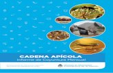 CADENA APÍCOLA - Alimentos Argentinos€¦ · del Proyecto Piloto PROCAL (Proyecto de Asistencia Integral para el Agregado de Valor en Agroalimentos), implementado a través del