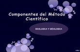 Componentes del Método Científico - Gobierno de Canarias³tesis -es 10 que Se supone. Es 10 que va a Contestar la pregunta. Componentes del Método Científico . Tercer componente