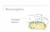 Bioenergética€¦ · Bioenergética Es la rama de la bioquímica que se dedica al estudio de las reacciones que involucran cambios de energía. 1950’s ¿Cómo ocurría la síntesis